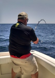 Blue Chip Shark Fishing special rate