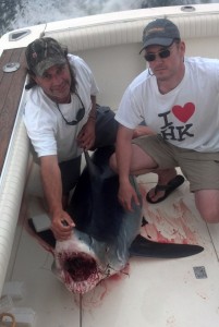 Point Pleasant NJ, shark fishing on the blue chip charter boat
