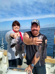 fishing for Sea Bass wuth BLUE HIP SPORT FISHING 