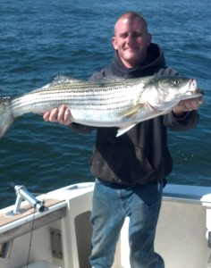 Blue Chip Striped Bass on Blue Chip Charters